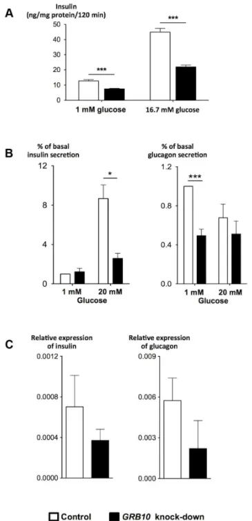 Figure 4. Effects of disrupted GRB10 through knock-down on islet function. (A) Disrupted GRB10 in INS-1 rat b-cells markedly reduced glucose-stimulated insulin secretion