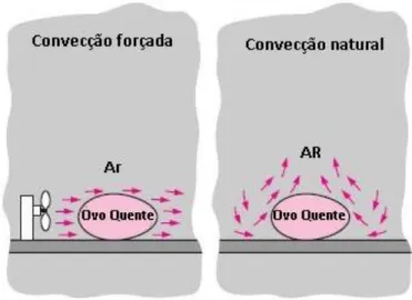 Figura 1. 5: Arrefecimento de um ovo quente por convecção forçada e natural (Cengel Yunus 2003)