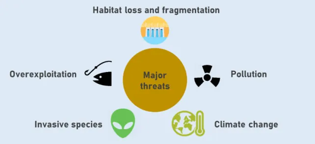 Figure 1  –  Diagram with the five major threats to freshwater biodiversity.   