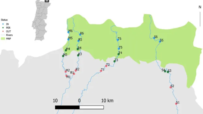 Figure 5 – Map of the surveyed area showing the location of the 24 sampling sites in Mente (M), Rabaçal  (R), Tuela (T) and Sabor (S) Rivers