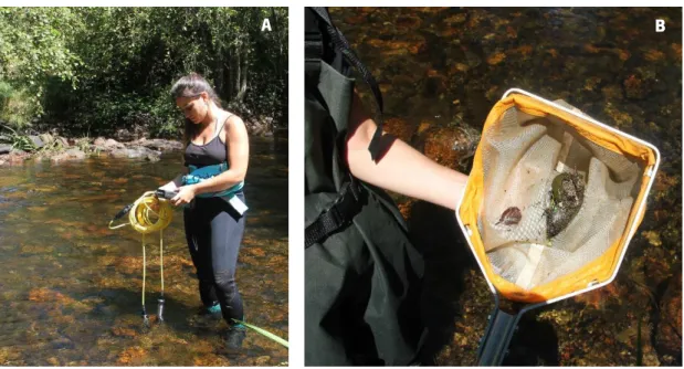 Figure 6 – Measurement of abiotic variables with a multi-parameter probe (A) and hand net used to collect the  macroinvertebrates (B)