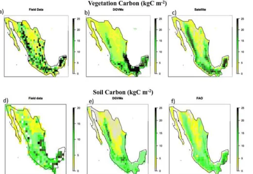 Figure 4. (Top) Vegetation stored carbon for three products: field data, DGVMs and satellite (kg C m −2 )