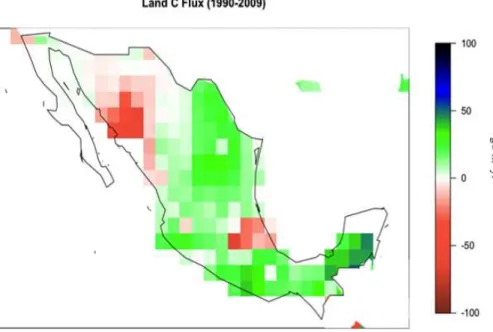 Figure 5. Land-C Flux (NBP) for the period 1990–2009 (g C m −2 yr −1 ). A positive value indicates a sink of C and vice versa.