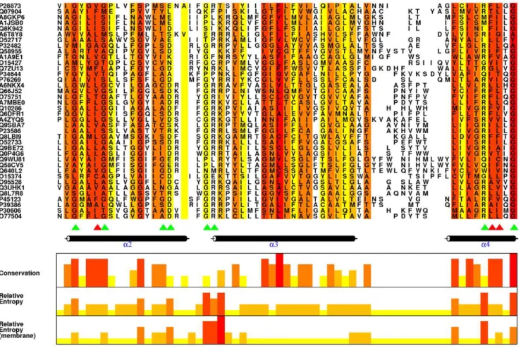 Figure 1. A portion of Multiple Alignment showing conservation and RE M for each column