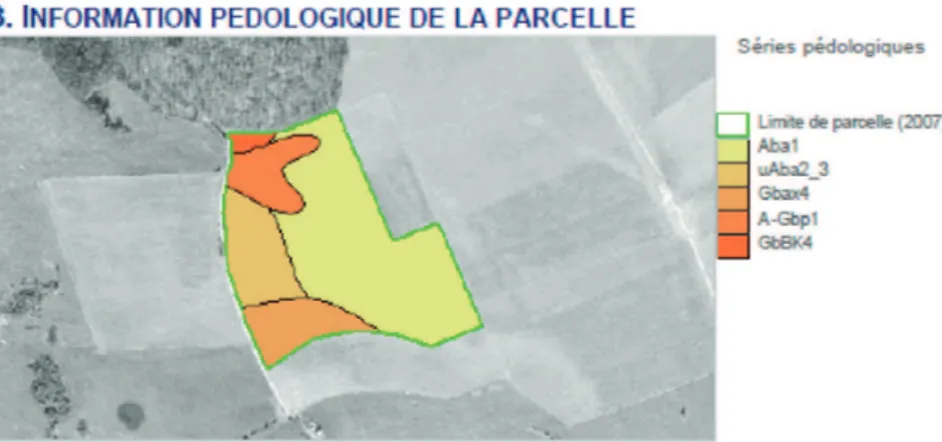 Tableau 2. Extrait du rapport d’échantillonnage présentant l’information pédologique utile à l’élaboration d’un conseil de  fumure personnalisé pour la parcelle située à Falmignoul (Condroz, Belgique) — Sampling report extract with pedological  information