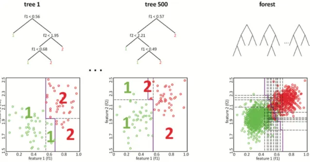 Figure 11 - Random forests are composed by individual decision trees that act together as an  ensemble