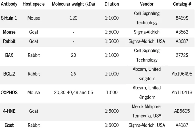 Table 2. List of Primary and Secondary antibodies used in Western Blot and Slot-Blot technique