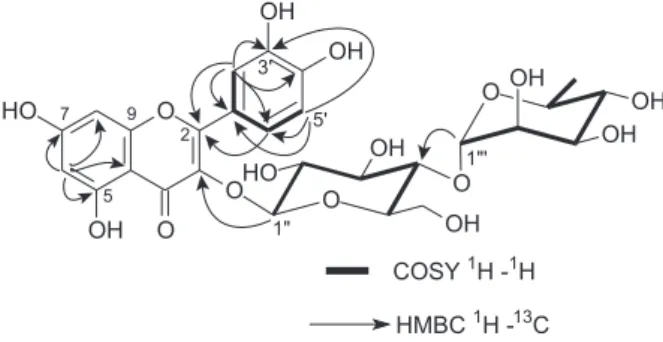 Figure 2. HMBC and COSY correlations in the structure of 1.