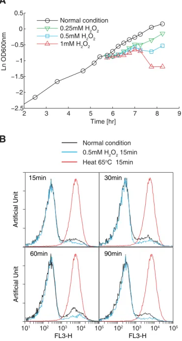 Fig 1. Optimization of the oxidative stress conditions. (A) Cell growth in the presence of different concentrations of H 2 O 2 