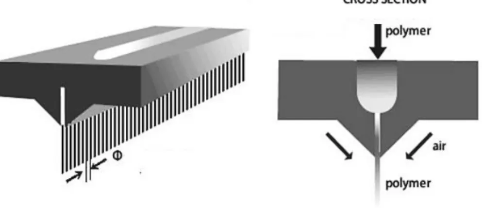 Figure 2. ix 3D scheme of part of the die and respectively cross section [36] 