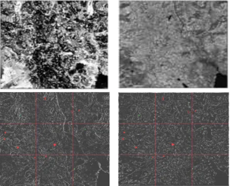 Figure  5.  Radarsat-1  (left),  Landsat-7/ETM+  (right),  top  grey  level  images,  bottom  thresholded  gradient  images  used  for  matching to reduce grey level differences with 100 best match points (in red) and best point in 3x3 tiles with none of t
