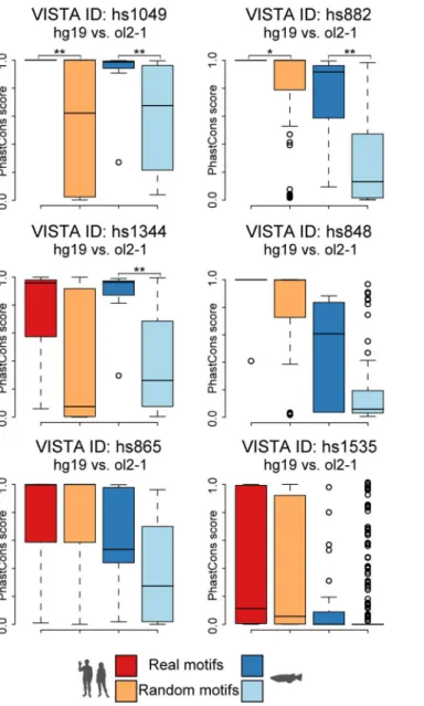 Fig 3. Predicted candidates do not only differ in their motif configuration but also their conservation levels