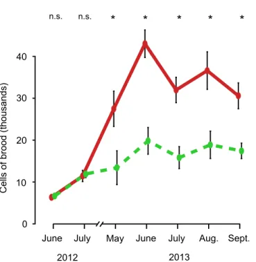 Fig 2. Dynamics of the amount of brood in colonies housed in small hives (dashed, green line) and colonies housed in large hives (solid, red line), from June 2012 to September 2013