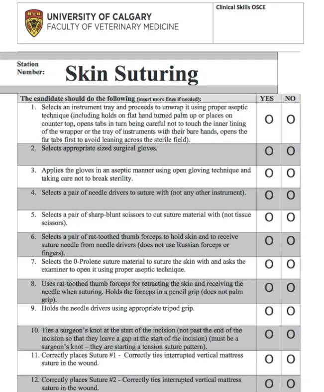 Fig 1. Example checklist instrument for the skin suturing station.