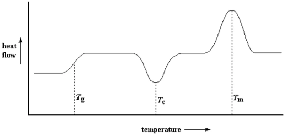 Figure 11: Example of a DSC curve of a typical semi-crystalline polymeric material