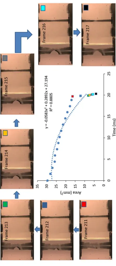 Figure 45: Sequence representing the fracture of the specimen (experiment E2) in a high speed tensile test 