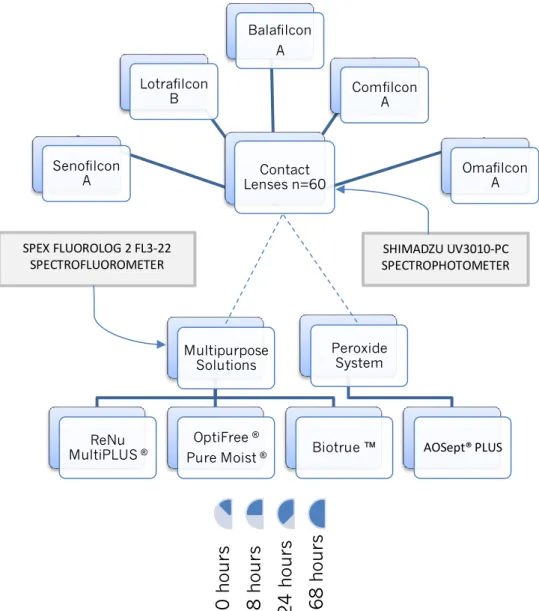 Figure 7.1. Schematic representation of the experimental methodology of this study. 