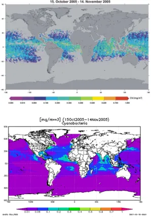 Fig. 6. Monthly average (from 15 October to 15 November 2005) of global distribution in chl-a conc