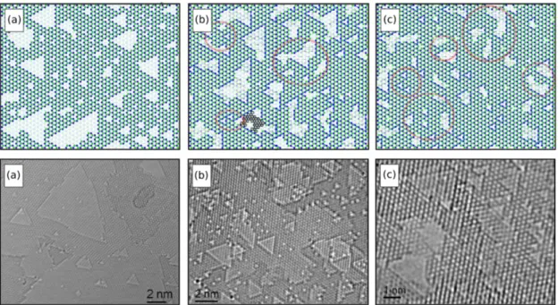 Figura 15: Comparação entre os modelos Monte-Carlo associados a cálculos DFT de dinâmica mole- mole-cular com imagens obtidas por microscopia de transmissão electrónica de alta resolução em amostras de nitreto de boro sujeitas a irradiação de feixes de ele