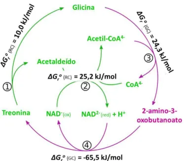 Fig. 1.3. – Exemplo de uma situação na qual as energias de Gibbs são estimadas através da aplicação conjunta de RC e  GC, antes da introdução de correções no cálculo de ΔG fo  a partir de espécies químicas de referência