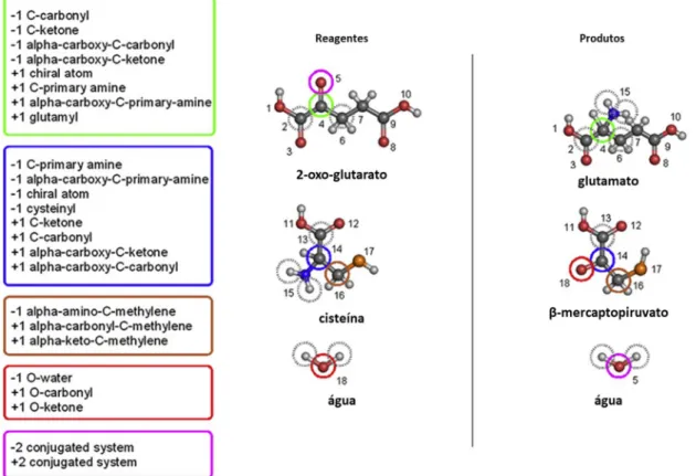 Fig. 1.6. – Representação esquemática da identificação de alterações nos atributos químicos entre reagentes e  produtos numa transaminação da cisteína para o 2-oxo-glutarato