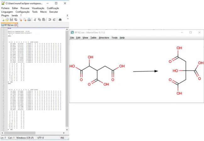 Fig. 2.2. – Ficheiro RXN relativo à reação de isomerização do isocitrato em citrato (KEGG Reaction R01324 -  https://www.kegg.jp/dbget-bin/www_bget?rn:R01324)