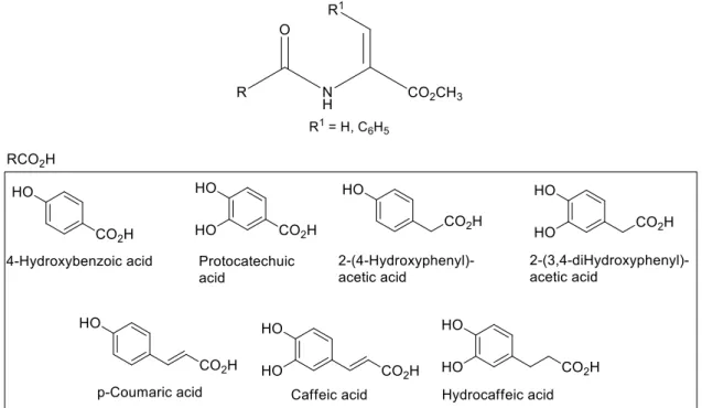 Figure 11 – Methyl esters of N-phenoyl and N-catechoyl dehydroalanine and dehydrophenylalanine  (adapted from reference 64)
