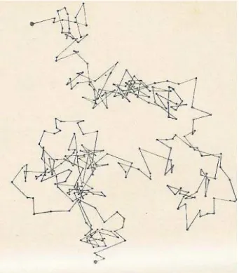Figura 1 - A figura acima (publicada por J. Perrin), mostra a tra- tra-jet´ oria de uma part´ıcula executando movimento browniano
