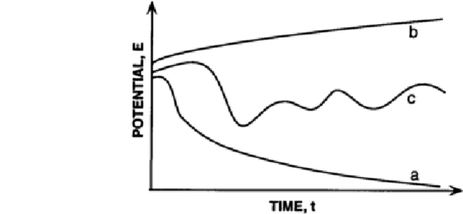 Figure 9 represents a typical behavior of the OCP evolution with time in physiological solutions (such as  Hanks' or Ringer's solution) [45]