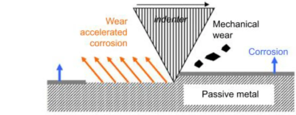 Figure 13 Schematic illustration of the degradation mechanisms of passive metals subject to tribocorrosion  [90].