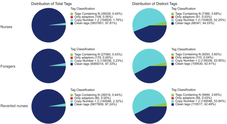 Figure 1. Distribution of total tags and distinct tags over different tag abundance categories in each sample