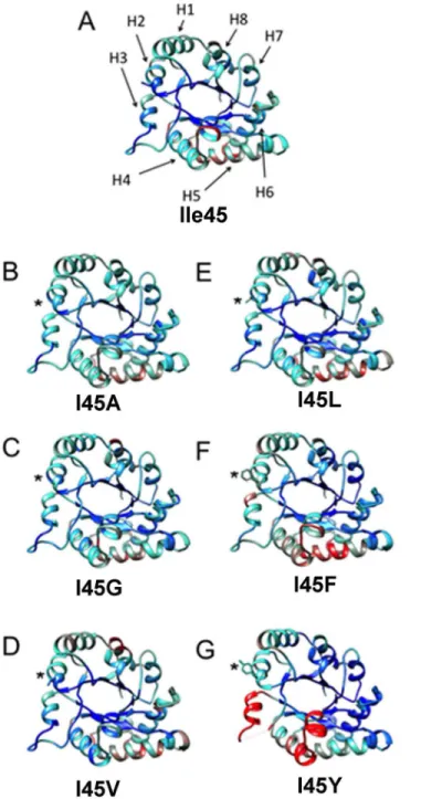 Fig 7. Comparison of the normalized B-factor values of TvTIM1 and mutants at residue 45