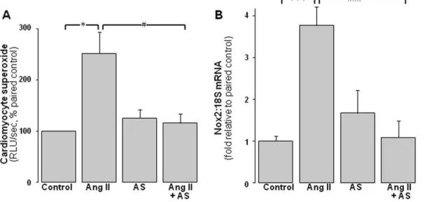 Figure 2. ROS-suppressing actions of Angeli’s salt. AS (1 mmol/L, added 46 /day over 48 h) blocks cardiomyocyte NADPH oxidase activity and expression