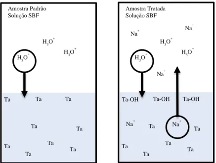 Figura 1.5: Esquema ilustrativo da troca de iões em amostras de Ta (controlo e tratada quimicamente)  imersas em SBF