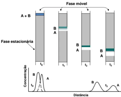 Figura 22 - Funcionamento da Cromatografia [45] 