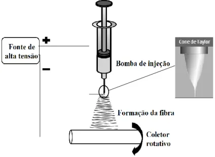 Figura 2.4- Representação da técnica de  electrospinning  [41, 12]