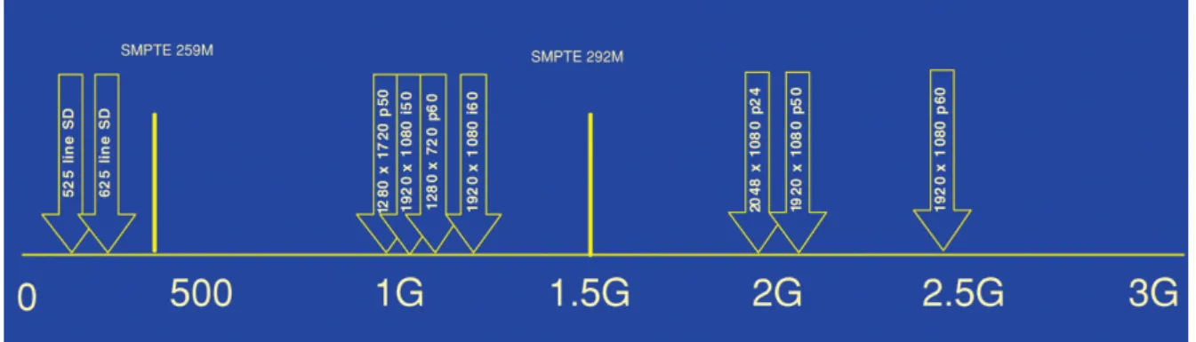 Figure 2.1: Required bit rate to transmit various video formats [1].