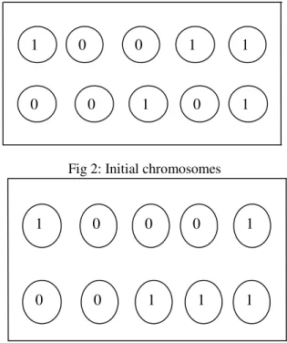 Fig 2: Initial chromosomes 