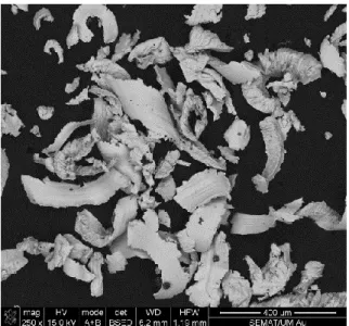 Figura 14 – Micrografia, obtida por MEV, das partículas de ouro. 