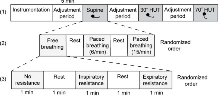 Fig 1. Experimental protocol. After instrumentation the measurements started with the subject in the supine position, followed by 30 and 70° head-up tilt with a 5 minute adjustment period in between (layer 1)