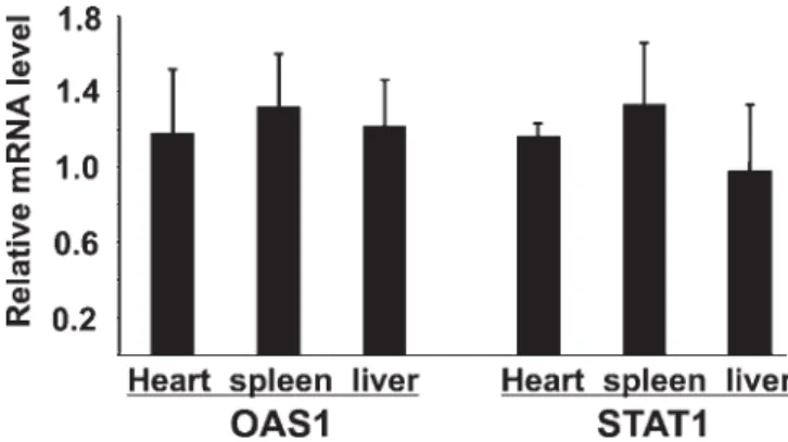 Figure S1. shRNA Expression and Knockdown of Sod2 Gene Expression in Line 26