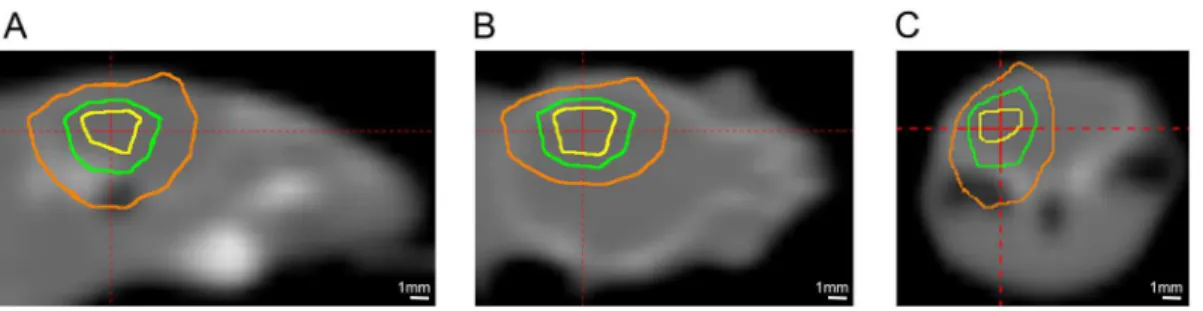 Fig 1. Gamma-Knife dose radiation contours superimposed on a CT image of a mouse. Panels A, B, and C show sagittal, coronal, and transaxial views, respectively