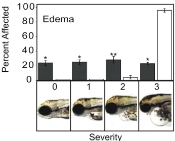 Figure 5. dnAhr2 1–440 -transgenic zebrafish are resistant to pericardial edema caused by TCDD