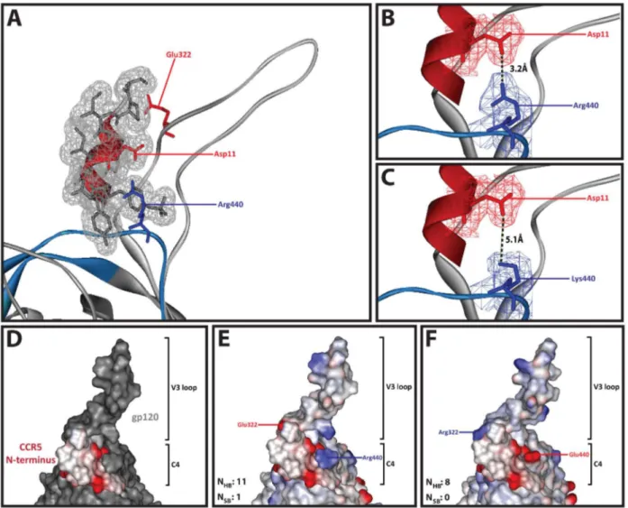 Figure 1A), we hypothesized that mutations at position 440 may be influenced by the presence of charged amino acids at position 322, which is a key V3 determinant of coreceptor usage