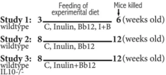 Figure 1. The mouse strain, starting age and feeding condition of three studies.