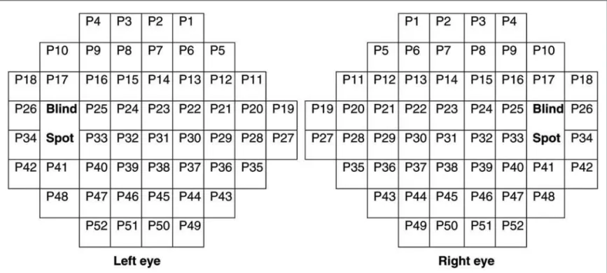 Figure 1 - The distribution of the perimetric points (p) in the left and right eyes that was used in the statistical analysis