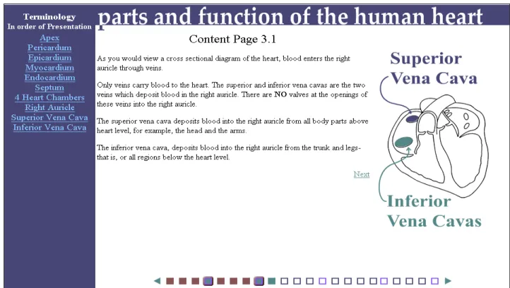 Figure 1. Screen shot of a page containing a static visual  2. Animated Visuals Alone (AN) 