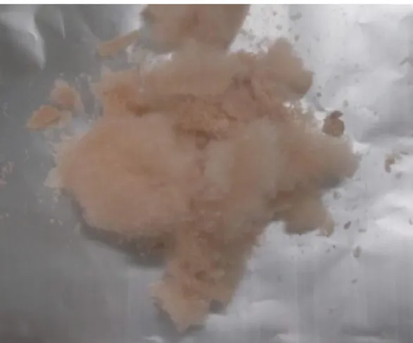 Figure 6. Freeze-dried crude biosurfactant produced by  Bacillus subtilis  PX573 recovered through acid precipitation
