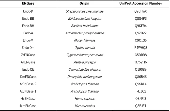 Table 6. ENGases of the GH85 family. The UniProt Accession Number and the origin of the ENGases used to perform a multiple  alignment with the putative ENGases of  A