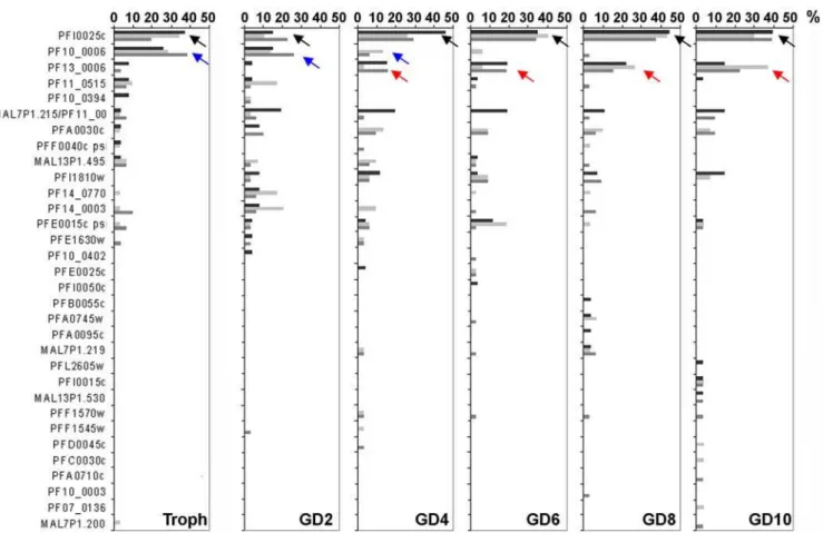 Table 2. Summary of A-type rif clones.